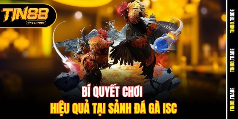 Bí quyết chơi hiệu quả tại sảnh đá gà ISC