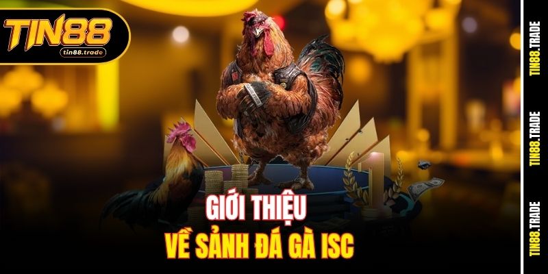 Giới thiệu về sảnh đá gà ISC