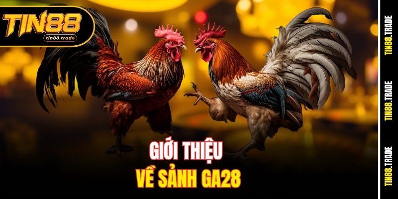 Giới thiệu về sảnh GA28