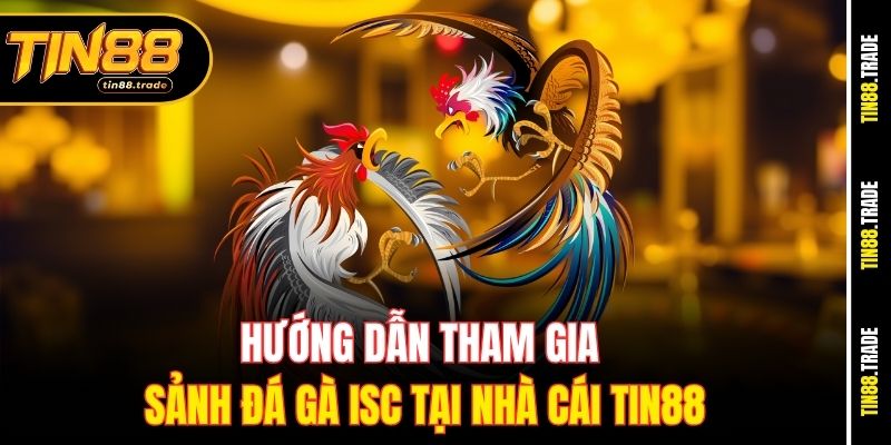 Hướng dẫn tham gia sảnh đá gà ISC tại nhà cái Tin88
