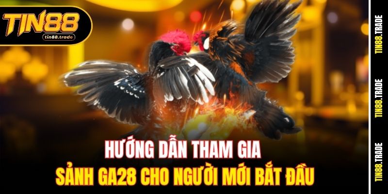 Hướng dẫn tham gia sảnh GA28 cho người mới bắt đầu