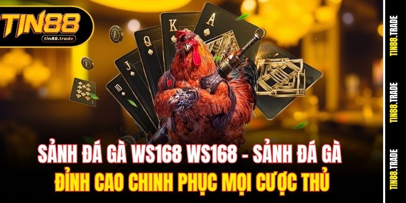 Sảnh đá gà WS168 WS168 – Sảnh đá gà đỉnh cao chinh phục mọi cược thủ