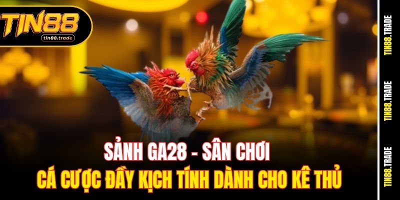Sảnh GA28: Sân chơi cá cược đầy kịch tính dành cho kê thủ