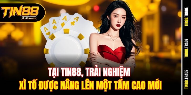 Tại Tin88, trải nghiệm Xì Tố được nâng lên một tầm cao mới