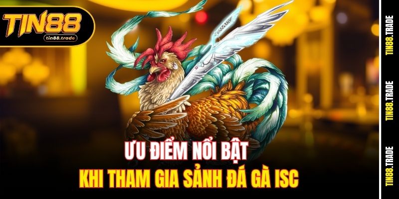 Ưu điểm nổi bật khi tham gia sảnh đá gà ISC